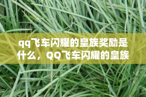 qq飞车闪耀的皇族奖励是什么，QQ飞车闪耀的皇族奖励，豪华福利等你来拿！