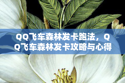 QQ飞车森林发卡跑法,QQ飞车森林发卡攻略与心得分享 QQ飞车森林发卡跑法,QQ飞车森林发卡攻略与心得分享