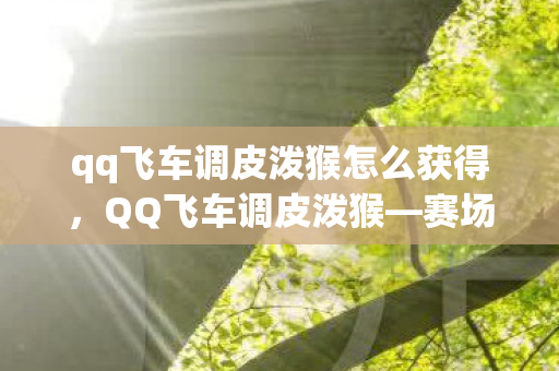 qq飞车调皮泼猴怎么获得,QQ飞车调皮泼猴—赛场上的速度与激情 qq飞车调皮泼猴怎么获得,QQ飞车调皮泼猴—赛场上的速度与激情
