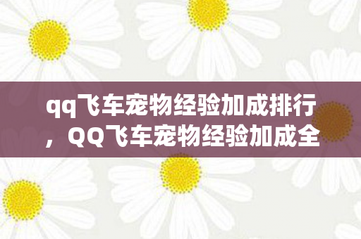 qq飞车宠物经验加成排行,QQ飞车宠物经验加成全面解析 qq飞车宠物经验加成排行,QQ飞车宠物经验加成全面解析