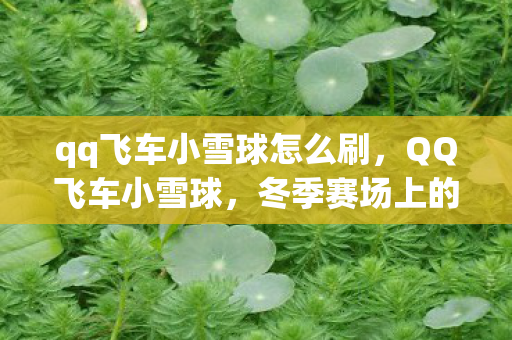 qq飞车小雪球怎么刷,QQ飞车小雪球,冬季赛场上的雪球奇迹 qq飞车小雪球怎么刷,QQ飞车小雪球,冬季赛场上的雪球奇迹