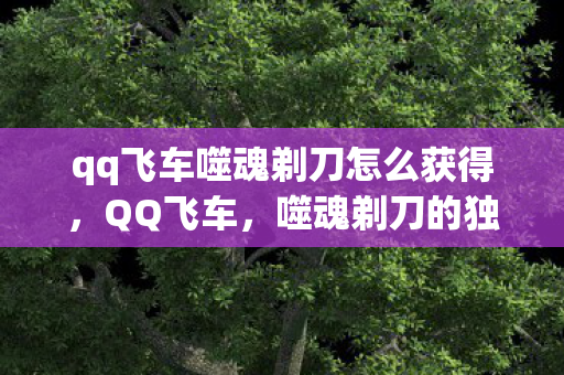 qq飞车噬魂剃刀怎么获得,QQ飞车,噬魂剃刀的独特魅力 qq飞车噬魂剃刀怎么获得,QQ飞车,噬魂剃刀的独特魅力