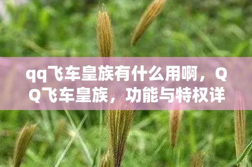 qq飞车皇族有什么用啊,QQ飞车皇族,功能与特权详解 qq飞车皇族有什么用啊,QQ飞车皇族,功能与特权详解