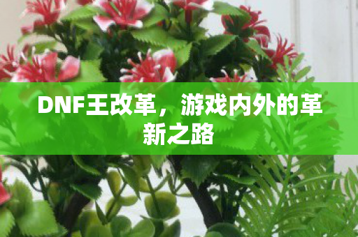 DNF王改革，游戏内外的革新之路