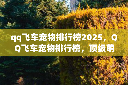 qq飞车宠物排行榜2025,QQ飞车宠物排行榜,顶级萌宠大比拼 qq飞车宠物排行榜2025,QQ飞车宠物排行榜,顶级萌宠大比拼