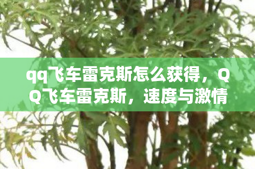 qq飞车雷克斯怎么获得,QQ飞车雷克斯,速度与激情的极致体验 qq飞车雷克斯怎么获得,QQ飞车雷克斯,速度与激情的极致体验