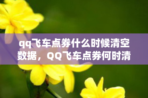 qq飞车点券什么时候清空数据,QQ飞车点券何时清空?一文解读你的疑惑 qq飞车点券什么时候清空数据,QQ飞车点券何时清空?一文解读你的疑惑