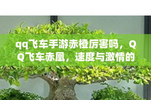 qq飞车手游赤橙厉害吗，QQ飞车赤凰，速度与激情的极致体验
