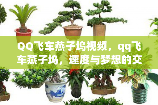 QQ飞车燕子坞视频,qq飞车燕子坞,速度与梦想的交织之地 QQ飞车燕子坞视频,qq飞车燕子坞,速度与梦想的交织之地