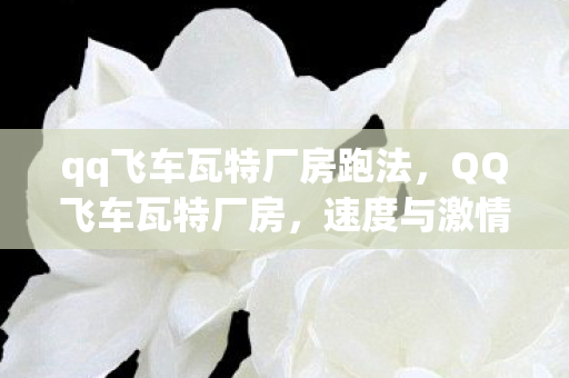 qq飞车瓦特厂房跑法,QQ飞车瓦特厂房,速度与激情的极致体验 qq飞车瓦特厂房跑法,QQ飞车瓦特厂房,速度与激情的极致体验