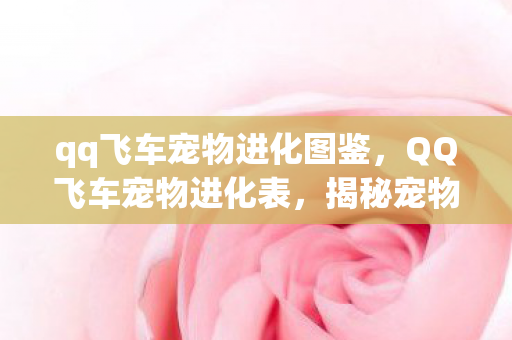 qq飞车宠物进化图鉴,QQ飞车宠物进化表,揭秘宠物成长之路 qq飞车宠物进化图鉴,QQ飞车宠物进化表,揭秘宠物成长之路