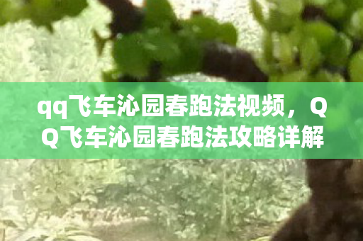 qq飞车沁园春跑法视频,QQ飞车沁园春跑法攻略详解 qq飞车沁园春跑法视频,QQ飞车沁园春跑法攻略详解