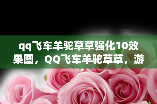 qq飞车羊驼草草强化10效果图,QQ飞车羊驼草草,游戏世界的独特魅力与奇幻之旅 qq飞车羊驼草草强化10效果图,QQ飞车羊驼草草,游戏世界的独特魅力与奇幻之旅