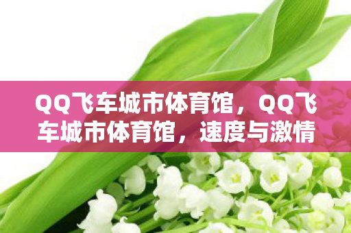 QQ飞车城市体育馆,QQ飞车城市体育馆,速度与激情的绝佳舞台 QQ飞车城市体育馆,QQ飞车城市体育馆,速度与激情的绝佳舞台