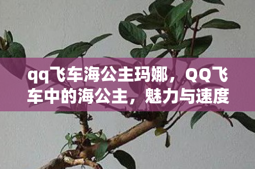 qq飞车海公主玛娜,QQ飞车中的海公主,魅力与速度的化身 qq飞车海公主玛娜,QQ飞车中的海公主,魅力与速度的化身