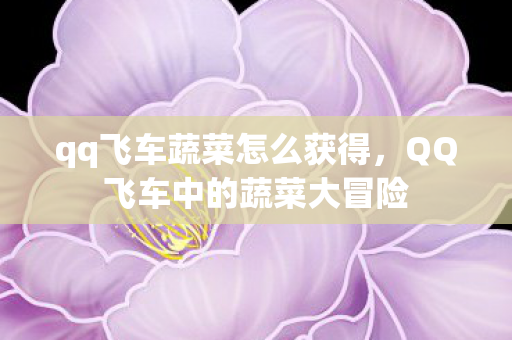qq飞车蔬菜怎么获得,QQ飞车中的蔬菜大冒险 qq飞车蔬菜怎么获得,QQ飞车中的蔬菜大冒险