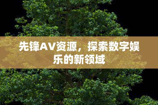 先锋AV资源,探索数字娱乐的新领域 先锋AV资源,探索数字娱乐的新领域