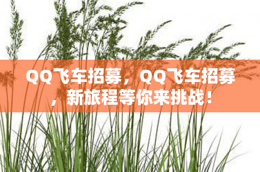 QQ飞车招募,QQ飞车招募,新旅程等你来挑战! QQ飞车招募,QQ飞车招募,新旅程等你来挑战!