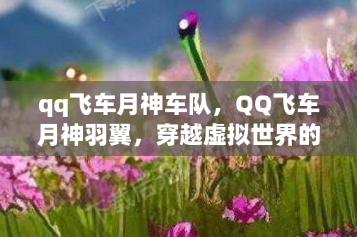 qq飞车月神车队,QQ飞车月神羽翼,穿越虚拟世界的神秘传说 qq飞车月神车队,QQ飞车月神羽翼,穿越虚拟世界的神秘传说