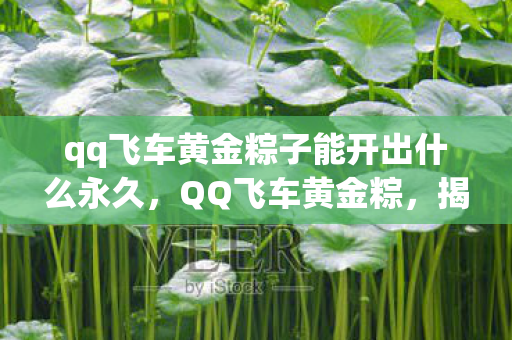 qq飞车黄金粽子能开出什么永久,QQ飞车黄金粽,揭秘神秘道具背后的故事 qq飞车黄金粽子能开出什么永久,QQ飞车黄金粽,揭秘神秘道具背后的故事