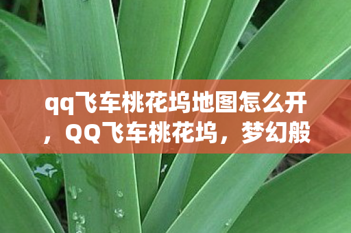 qq飞车桃花坞地图怎么开,QQ飞车桃花坞,梦幻般的赛车世界中的春日秘境 qq飞车桃花坞地图怎么开,QQ飞车桃花坞,梦幻般的赛车世界中的春日秘境
