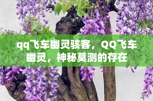 qq飞车幽灵骇客,QQ飞车幽灵,神秘莫测的存在 qq飞车幽灵骇客,QQ飞车幽灵,神秘莫测的存在