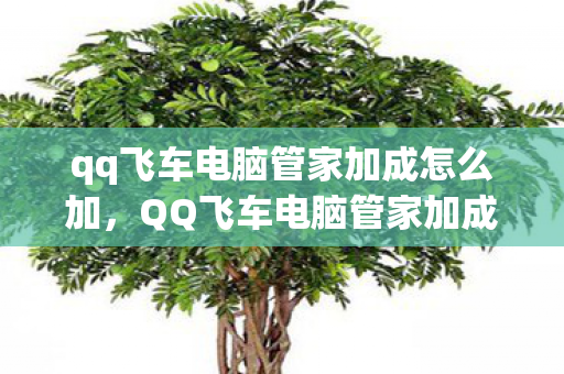 qq飞车电脑管家加成怎么加,QQ飞车电脑管家加成,助力你的飞车生涯,轻松领跑赛道! qq飞车电脑管家加成怎么加,QQ飞车电脑管家加成,助力你的飞车生涯,轻松领跑赛道!