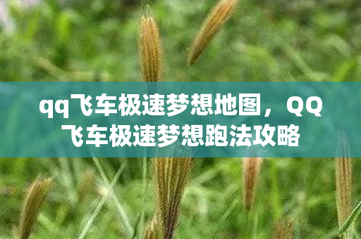 qq飞车极速梦想地图,QQ飞车极速梦想跑法攻略 qq飞车极速梦想地图,QQ飞车极速梦想跑法攻略