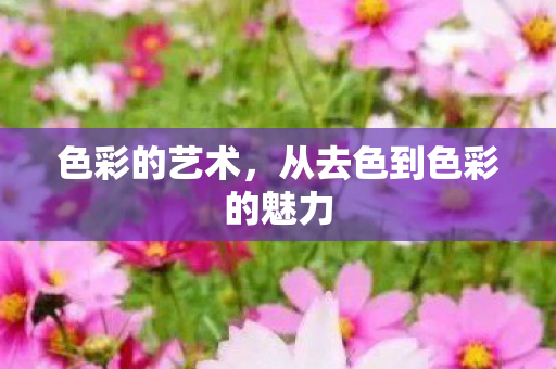 色彩的艺术,从去色到色彩的魅力 色彩的艺术,从去色到色彩的魅力