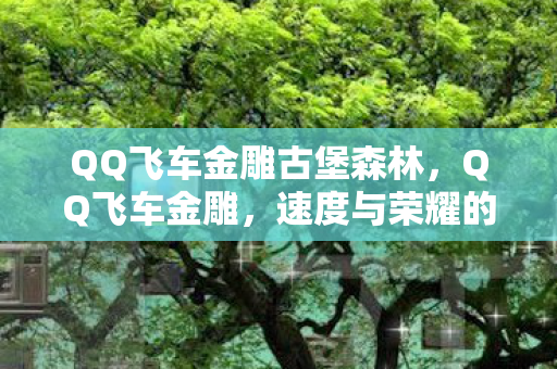 QQ飞车金雕古堡森林,QQ飞车金雕,速度与荣耀的象征 QQ飞车金雕古堡森林,QQ飞车金雕,速度与荣耀的象征