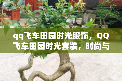 qq飞车田园时光服饰,QQ飞车田园时光套装,时尚与自然的完美融合 qq飞车田园时光服饰,QQ飞车田园时光套装,时尚与自然的完美融合
