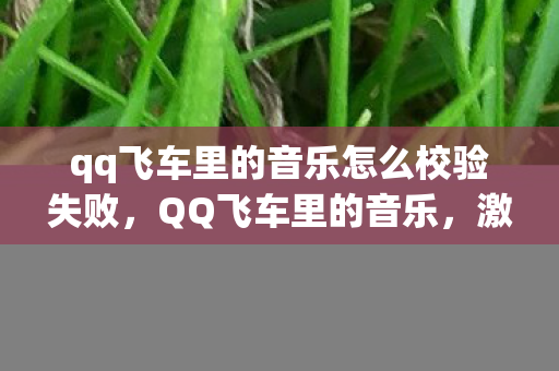 qq飞车里的音乐怎么校验失败，QQ飞车里的音乐，激情与速度的交响乐章