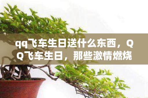 qq飞车生日送什么东西,QQ飞车生日,那些激情燃烧的岁月与成长的印记 qq飞车生日送什么东西,QQ飞车生日,那些激情燃烧的岁月与成长的印记