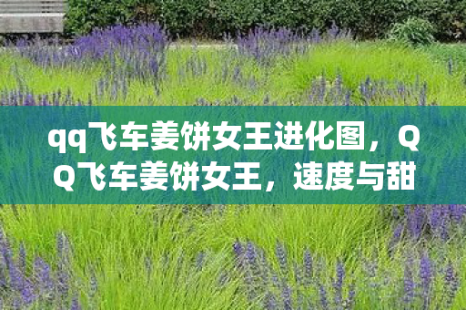 qq飞车姜饼女王进化图,QQ飞车姜饼女王,速度与甜点的完美结合 qq飞车姜饼女王进化图,QQ飞车姜饼女王,速度与甜点的完美结合
