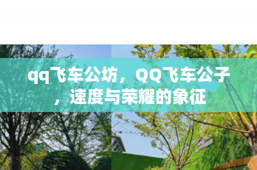 qq飞车公坊,QQ飞车公子,速度与荣耀的象征 qq飞车公坊,QQ飞车公子,速度与荣耀的象征