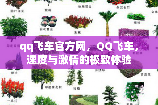 qq飞车官方网,QQ飞车,速度与激情的极致体验 qq飞车官方网,QQ飞车,速度与激情的极致体验