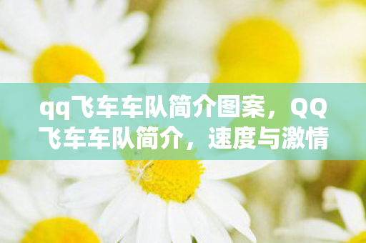 qq飞车车队简介图案，QQ飞车车队简介，速度与激情的汇聚之地