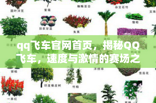 qq飞车官网首页,揭秘QQ飞车,速度与激情的赛场之旅 qq飞车官网首页,揭秘QQ飞车,速度与激情的赛场之旅