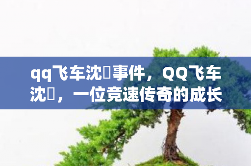 qq飞车沈珺事件,QQ飞车沈珺,一位竞速传奇的成长之路 qq飞车沈珺事件,QQ飞车沈珺,一位竞速传奇的成长之路