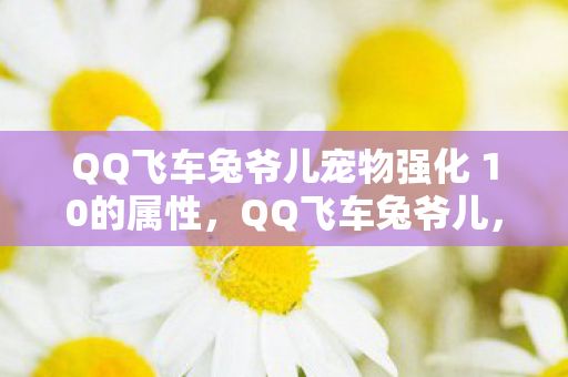 QQ飞车兔爷儿宠物强化 10的属性,QQ飞车兔爷儿,速度与激情的化身 QQ飞车兔爷儿宠物强化 10的属性,QQ飞车兔爷儿,速度与激情的化身