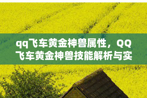 qq飞车黄金神兽属性，QQ飞车黄金神兽技能解析与实战应用指南