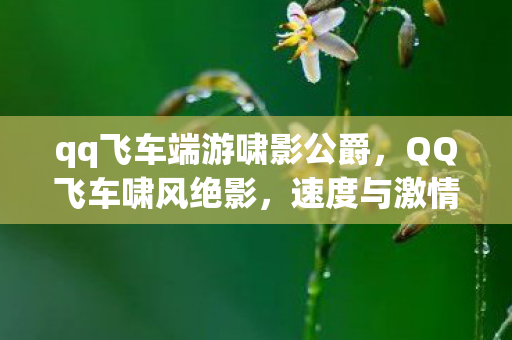 qq飞车端游啸影公爵，QQ飞车啸风绝影，速度与激情的极致体验