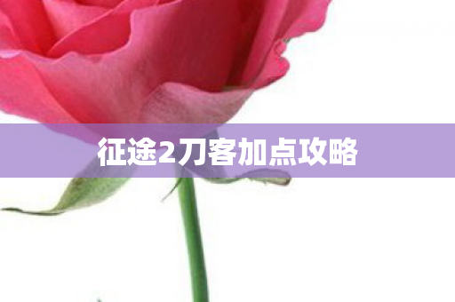 征途2刀客加点攻略 征途2刀客加点攻略