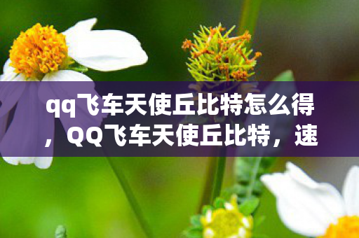 qq飞车天使丘比特怎么得,QQ飞车天使丘比特,速度与爱情的完美交融 qq飞车天使丘比特怎么得,QQ飞车天使丘比特,速度与爱情的完美交融