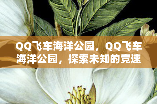 QQ飞车海洋公园,QQ飞车海洋公园,探索未知的竞速乐园 QQ飞车海洋公园,QQ飞车海洋公园,探索未知的竞速乐园