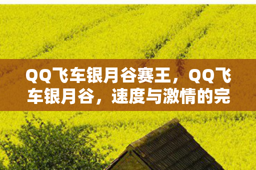 QQ飞车银月谷赛王，QQ飞车银月谷，速度与激情的完美融合之地