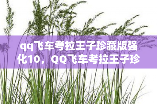 qq飞车考拉王子珍藏版强化10，QQ飞车考拉王子珍藏版—速度与梦想的完美结合