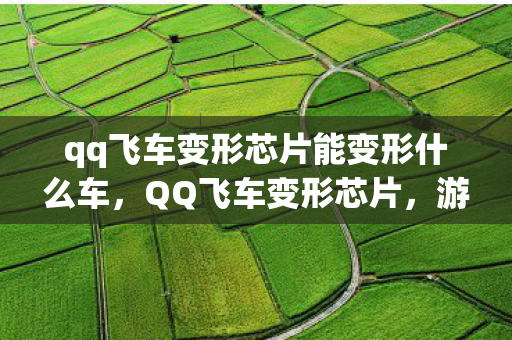 qq飞车变形芯片能变形什么车，QQ飞车变形芯片，游戏新元素引领变革