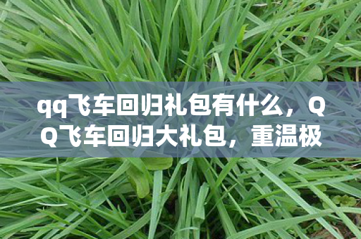 qq飞车回归礼包有什么,QQ飞车回归大礼包,重温极速世界的惊喜赠礼 qq飞车回归礼包有什么,QQ飞车回归大礼包,重温极速世界的惊喜赠礼