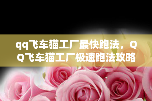 qq飞车猫工厂最快跑法，QQ飞车猫工厂极速跑法攻略